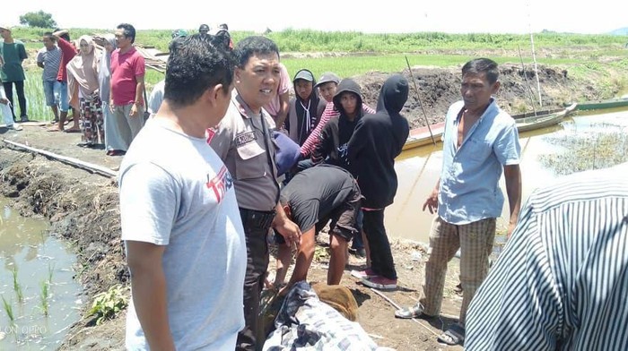 Petani di Bone, Sulsel, tewas usai terlibat sengketa sawah (dok. Istimewa)