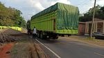 KLHK Tangkap Jaringan Peredaran Kayu Ilegal di Sumsel dan Jambi