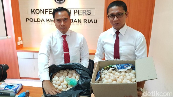 Polda Kepri mengungkap kasus penjualan penyu hijau.