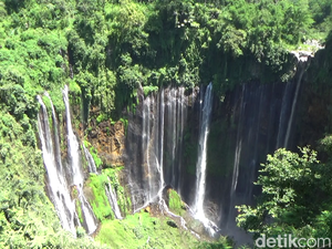 10 Air Terjun di Jawa Timur, Menyegarkan Raga Memanjakan Mata