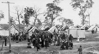Spanish Flu