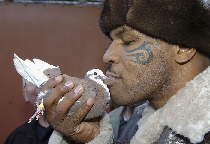 WALSALL, UNITED KINGDOM - NOVEMBER 18:  Former world heavyweight boxing champion Mike Tyson meets up with a pigeon fancier Horace Potts (L), of Bloxwich, Walsall, West Midlands on November 18, 2005 in Walsall, England. Tyson who is well known for his love of pigeons dropped in to the home of pigeon fancier Horace Watts whilst on route to Birmingham, England, for a hotel dinner boxing event.  (Photo by Stringer/Getty Images)