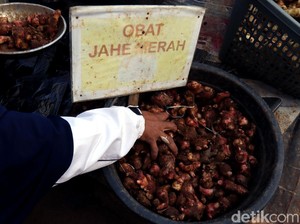 Hore! LIPI Rampungkan Uji Klinis Herba Imunomodulator untuk COVID-19