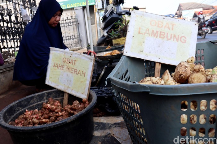 Jahe merah diyakini dapat tangkal corona, hal itu membuat warga memburu jahe merah. Naiknya permintaan jahe merah itu diakui para pedagang memberikan keuntungan