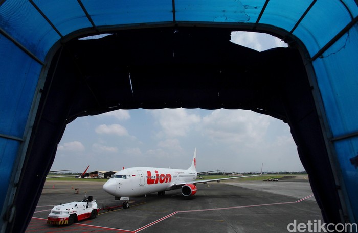 Ilustrasi pesawat Lion Air