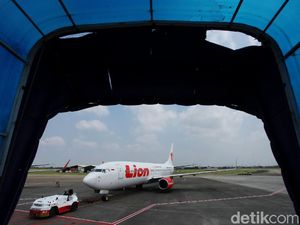 Lion Air Jual Tiket Buat Bayi saat Penerbangan Dibatasi, Kok Bisa?