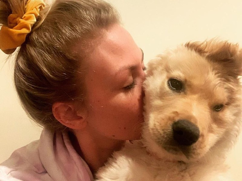 Anjing Unicorn Aneh Tapi Nyata