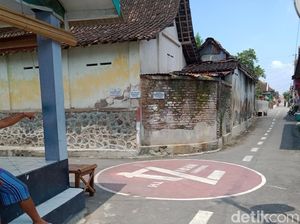 Viral Aksi Sadis Peracun Anjing Klaten, Animal Defenders: Teror Sejak Lama!