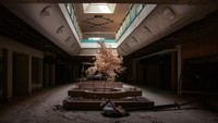 Beberapa mal hantu saat ini telah dihancurkan, termasuk tiga mal di Ohio yang menjadi memori masa kecil Lawless. Mal-mal itu diruntuhkan dan dibangun kembali menjadi gedung Amazon. (Foto: Metro North Mall di Kansas City North, Missouri oleh Seph Lawless/CNN)