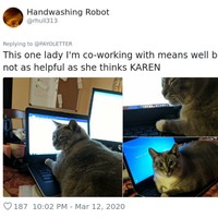 Wanita yang bekerja bersamaku ini mungkin niatnya baik tapi dia tidak membantu seperti dia pikirkan, tulis pemilik kucing menggemaskan ini. Foto: Twitter