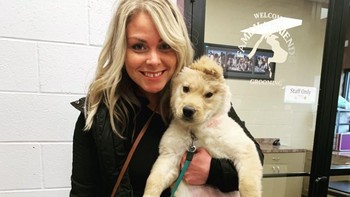 Inilah golden retriever berusia 12 minggu bernama Rae yang kemudian jadi hewan selebgram. Pemiliknya adalah Brianna Aardema (@goldenunicornrae/Instagram)