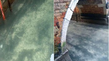 Ini memang bukan foto satelit, tapi perbandingan kondisi kanal di Venesia sebelum (kiri) dan saat lockdown (kiri). Foto: Albert Folaz  