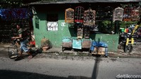 Para pedagang tampak sedang menyusun maupun membersihkan sangkar burung dagangannya di kawasan pasar tersebut.