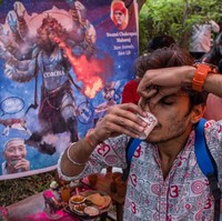 Seorang warga meneguk air seni sapi sambil menutup hidungnya. Meski diyakini berkhasiat, manfaat urine sapi untuk mengebalkan tubuh dari virus corona belum terbukti secara medis. (Foto: Yawar Nazir/Getty Images)