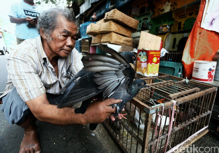 Suasana di Pasar Burung Pramuka Jakarta Sejumlah pedagang beraktivitas di Pasar Burung Pramuka, Jakarta. Sesekali para pedagang membersihkan sangkar burung karena kondisi pasar yang sepi pengunjung.