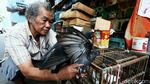 Menengok Aktivitas di Pasar Burung Pramuka