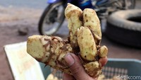 Marni tak menyebut, angka keuntungan yang ia dapat, ia berujar penjualan meningkat hingga 50 persen. Marni menuturkan, jahe merah banyak dicari para pembeli. Puluhan kilogram jahe merah bisa ludes dalam sehari.