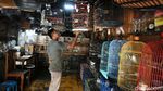 Menengok Aktivitas di Pasar Burung Pramuka