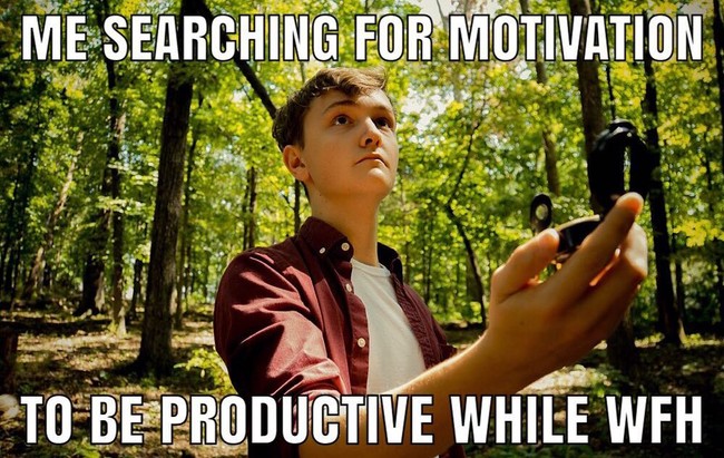 Tetap produktif saat bekerja dari rumah bukanlah perkara mudah. Butuh mencari inspirasi agar WFH bisa dilakukan dengan baik. Foto: meme work from home