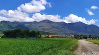 Jika dilihat dari kejauhan, gunung ini terlihat botak berwarna cokelat. Namun, jika dilihat lebih dekat, sebagian besar gunung ini ternyata masih ditumbuhi pepohonan hijau. Disebut-sebut, masih ada juga satwa liar di gunung ini seperti macan dan harimau. (Hakim Ghani/detikcom)