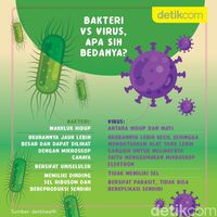 Sama-sama Kuman, Apa Bedanya Virus Corona dan Bakteri?