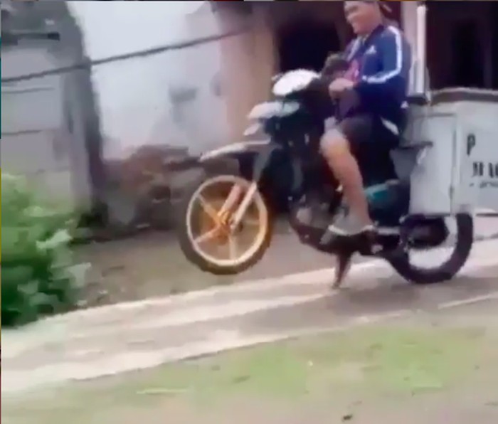 Abang Bakso Wheelie langsung jatuh