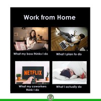 Kumpulan Meme Orang Orang Yang Work From Home