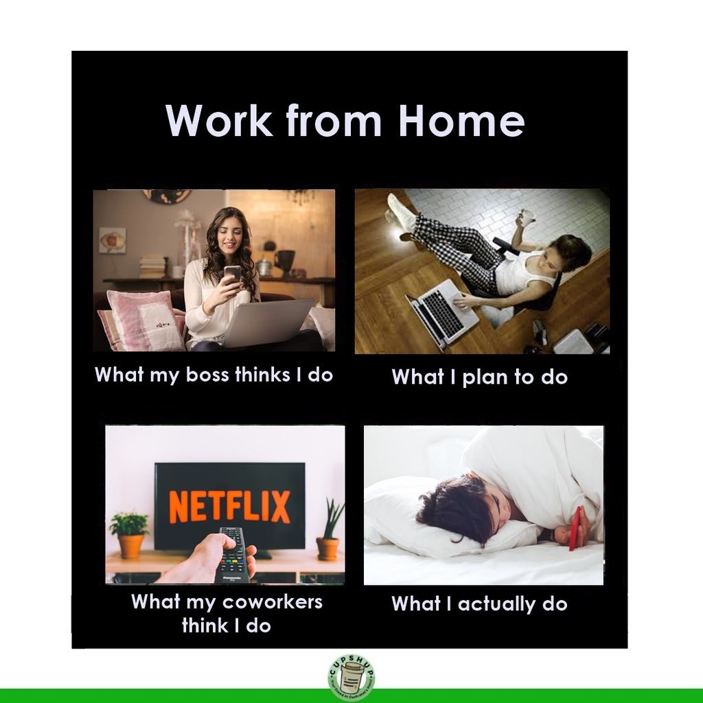 Kumpulan Meme Orang Orang Yang Work From Home Foto 3