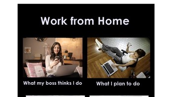 work from home dari berbagai pandangan. (Foto: Twitter)