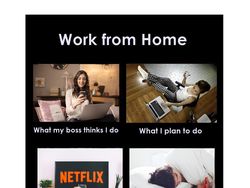 Kumpulan Meme Orang-orang yang Work From Home