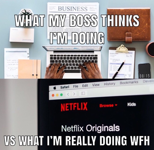 Apa yang ada dipikirin bosmu saat dirimu bekerja dari rumah adalah kamu bekerja dengan baik. Tapi, kenyataannya malah menonton Netflix. Foto: meme work from home