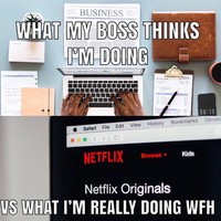 Apa yang ada dipikirin bosmu saat dirimu bekerja dari rumah adalah kamu bekerja dengan baik. Tapi, kenyataannya malah menonton Netflix. Foto: meme work from home
