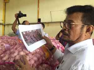 Pandemi Corona, Mentan Pastikan 11 Bahan Pokok Dasar Terkendali