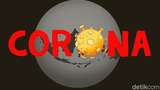 Positif Corona RI 25 Mei Tambah 315 Kasus, Meninggal 5 Pasien