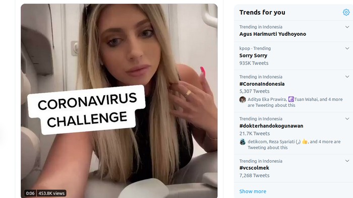 Coronavirus Challenge by Ava Louise