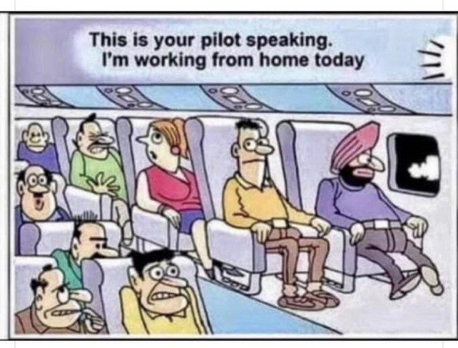 Saat pilot membuat pengumuman bahwa dirinya bekerja dari rumah atau work from home, seketika itu membuat semua penumpang pesawat cemas dan panik. Foto: meme work from home