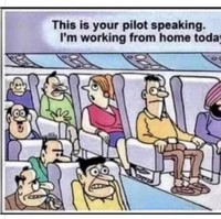 Saat pilot membuat pengumuman bahwa dirinya bekerja dari rumah atau work from home, seketika itu membuat semua penumpang pesawat cemas dan panik. Foto: meme work from home