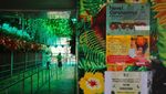 Deretan Destinasi Wisata Lokal yang Tutup Gegara Corona
