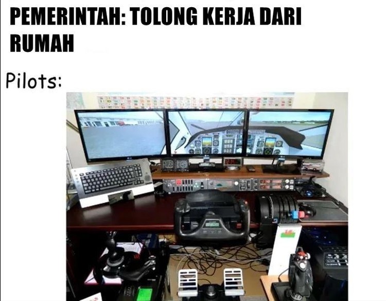 meme wfh