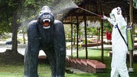 Begini penampakan gorila yang disemprot disinfektan di kawasan wisata Cikao Park, Purwakarta, Jawa Barat, Kamis (19/3/2020). Bukan gorila sungguhan, melainkan hanya patung gorila yang ada di objek wisata tersebut.