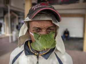Pria Asal Maroko Ini Pakai Masker dari Daun Mint Lho