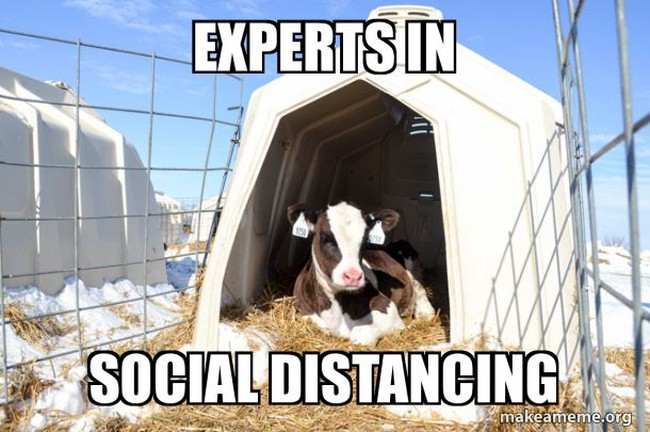 Ada beberapa yang ahli dalam melakukan social distancing. Bagi introvert social distancing bukanlah menjadi masalah. Foto: Istimewa