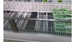 Meski Panic Buying Orang-orang Tidak Mau Beli Makanan Ini