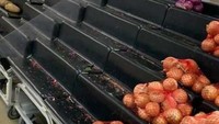 Selain wortel ada bawang bombay yang tidak dilirik orang saat panic buying di supermarket. Sayang sekali. Foto: Istimewa
