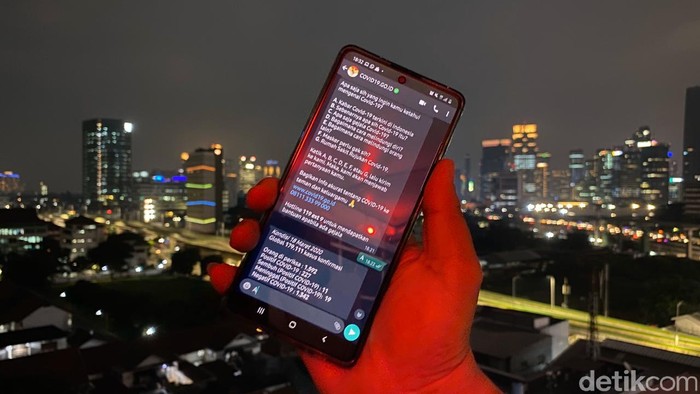 Akun chatbot WhatsApp COVID-19 resmi Pemerintah RI.