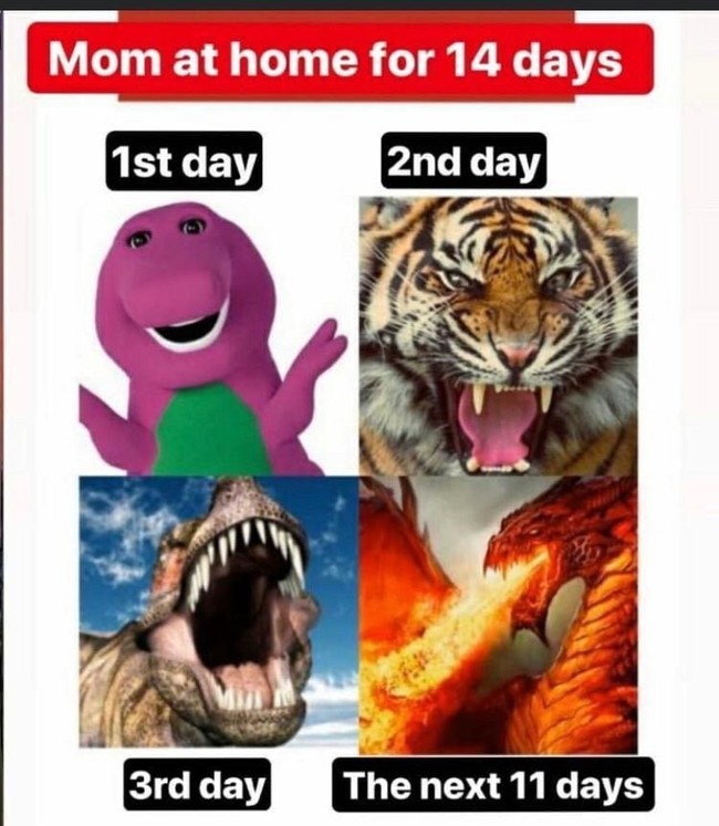 Ibu-ibu saat diharuskan berada di rumah selama 14 hari bersama anak-anaknya. Satu hari di rumah masih ceria, tapi setelah beberapa hari menghadapi anak untuk belajar di rumah membuat kesal. Foto: Istimewa