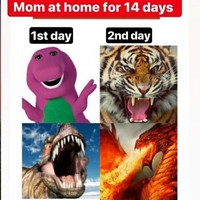 Ibu-ibu saat diharuskan berada di rumah selama 14 hari bersama anak-anaknya. Satu hari di rumah masih ceria, tapi setelah beberapa hari menghadapi anak untuk belajar di rumah membuat kesal. Foto: Istimewa