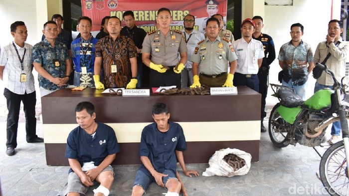 Polres Muara Enim menangkap dua orang pencuri penambat rel kereta api (Raja Adil/detikcom)