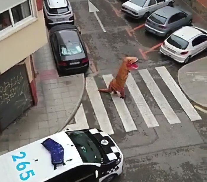 pria kostum T-Rex