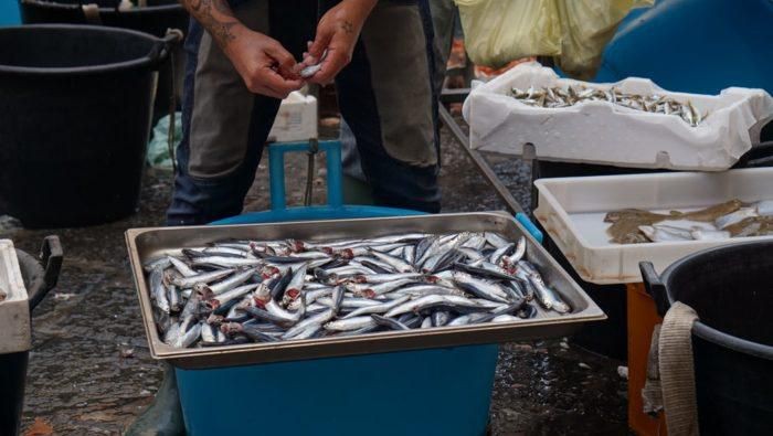 Penjual Makanan